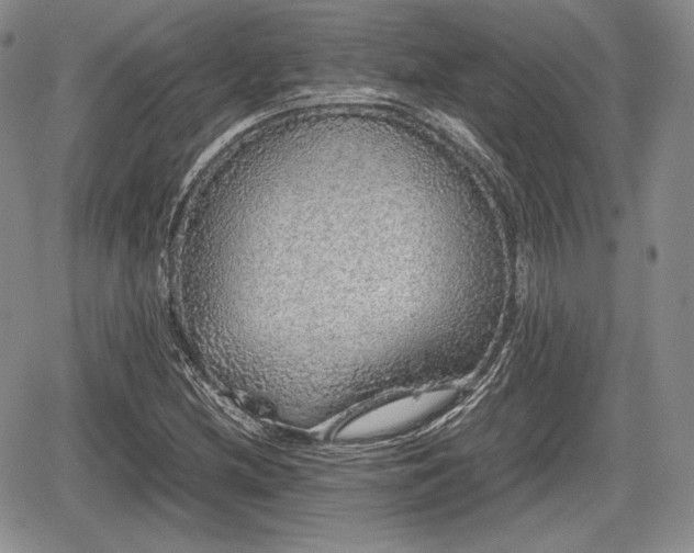 X0000067911212200604171330