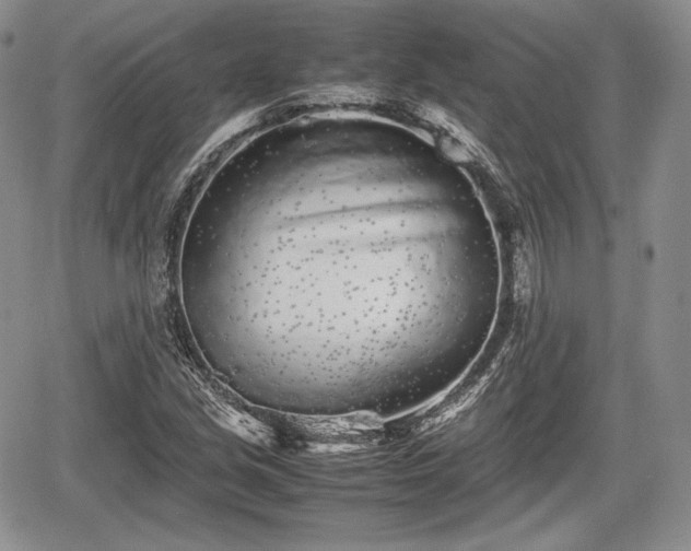 X0000067911213200604171330