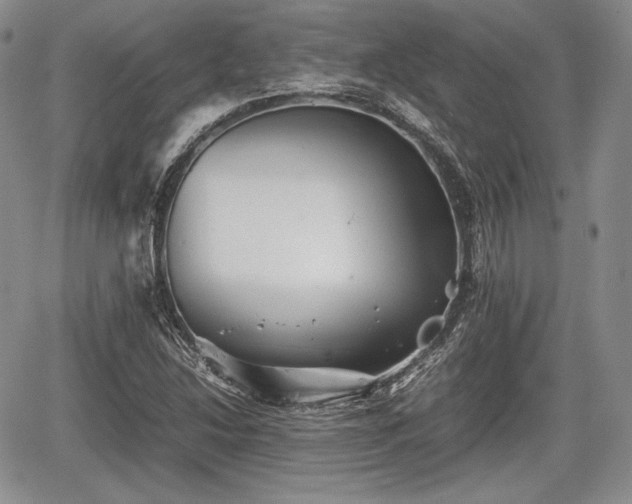 X0000067911214200604171330