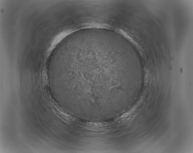 X0000067911215200604171330