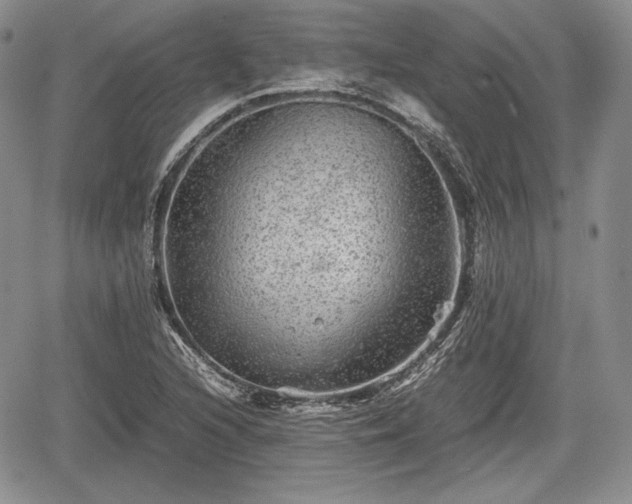 X0000067911216200604171330