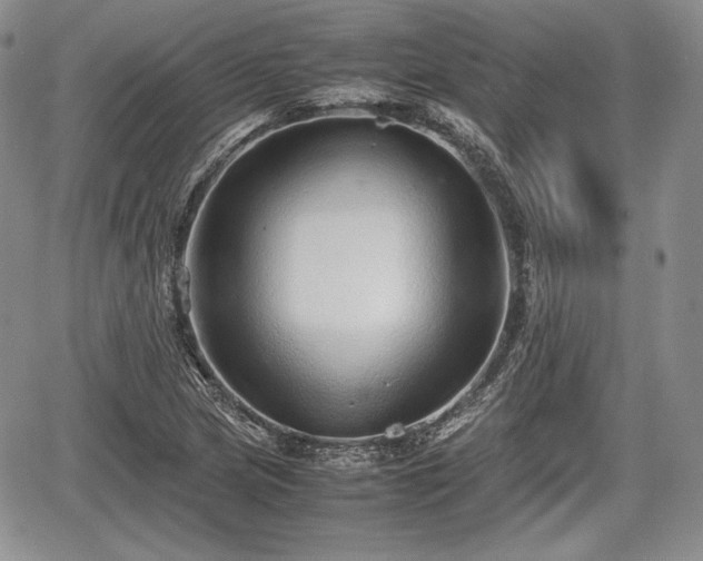 X0000067911217200604171330