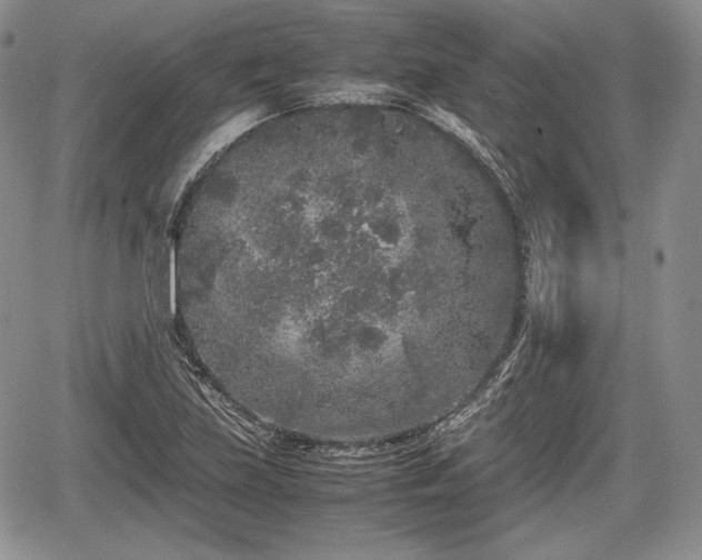 X0000067911219200604171330