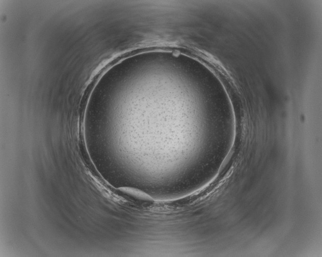 X0000067911220200604171330