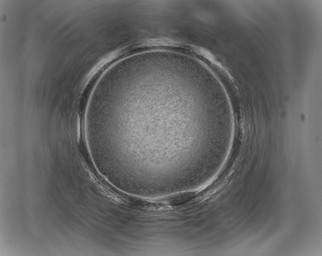 X0000067911221200604171330