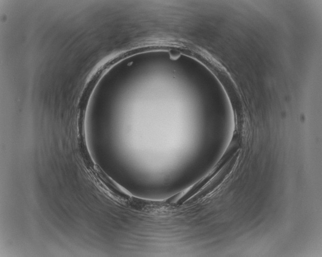 X0000067911222200604171330