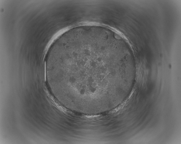 X0000067911223200604171330