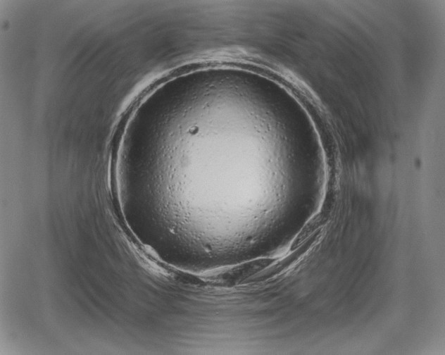 X0000067911224200604171330