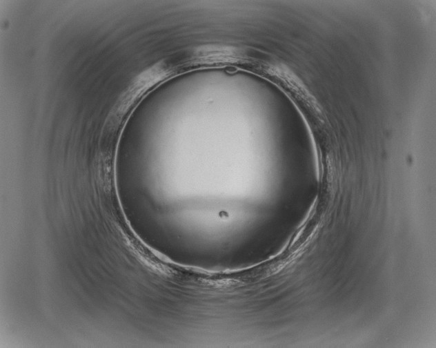 X0000067911225200604171330