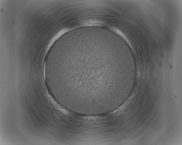 X0000067911227200604171330