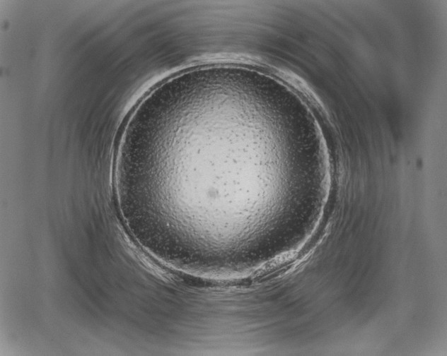 X0000067911228200604171330