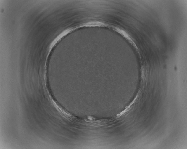 X0000067911229200604171330