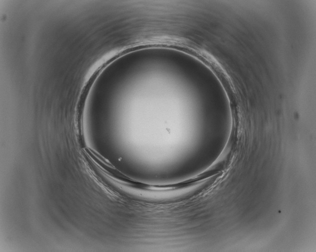 X0000067911230200604171330