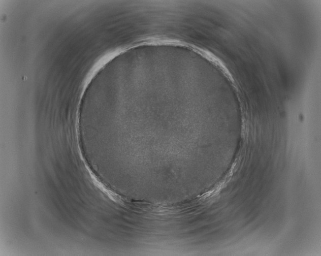 X0000067911231200604171330