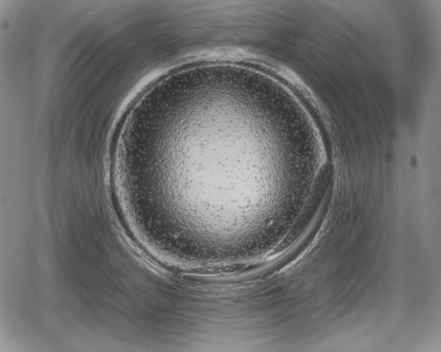 X0000067911232200604171330