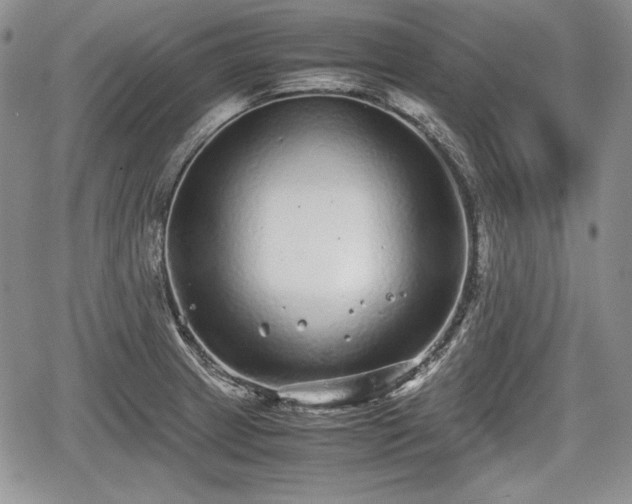 X0000067911233200604171330