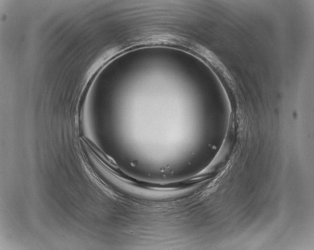 X0000067911234200604171330