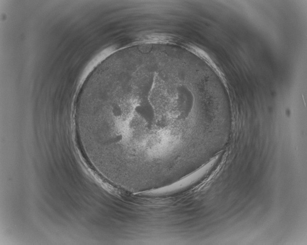 X0000067911235200604171330