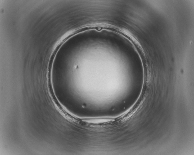 X0000067911237200604171330