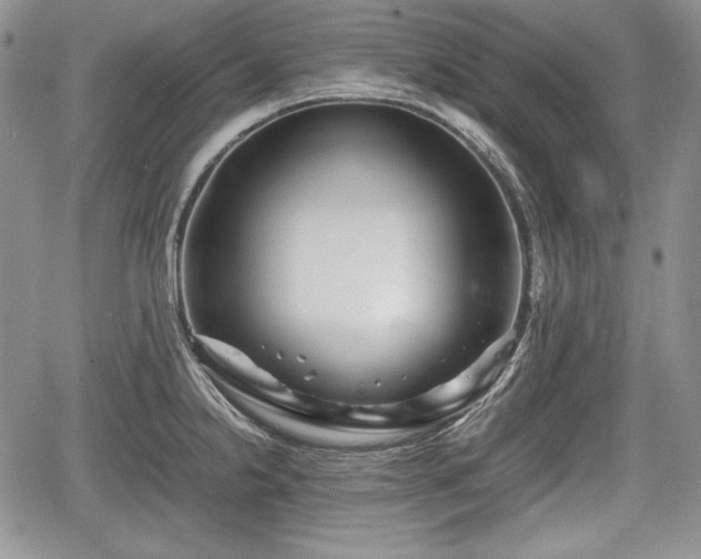 X0000067911238200604171330