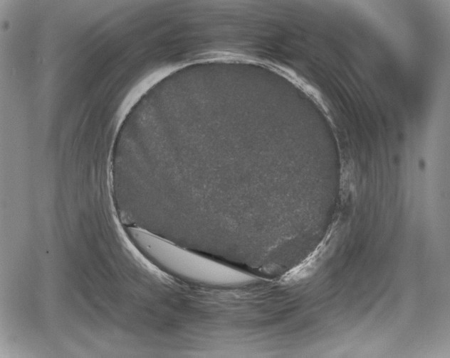 X0000067911239200604171330