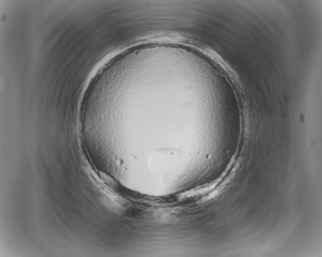 X0000067911240200604171330