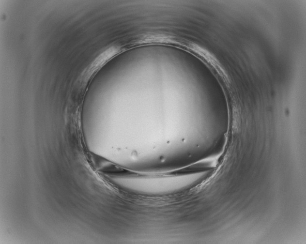 X0000067911241200604171331