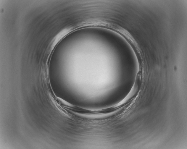 X0000067911242200604171331