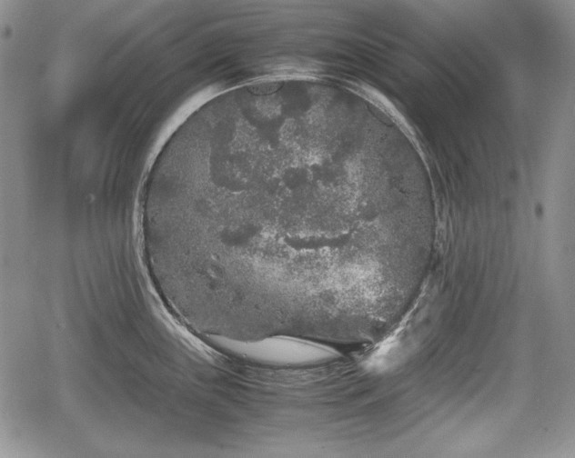 X0000067911243200604171331