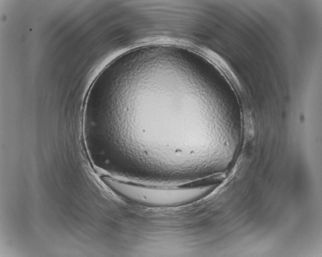 X0000067911244200604171331