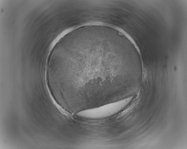 X0000067911245200604171331