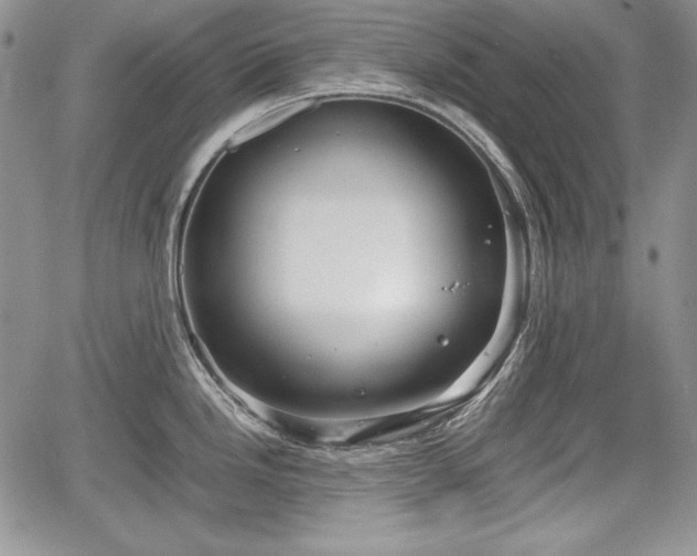 X0000067911246200604171331