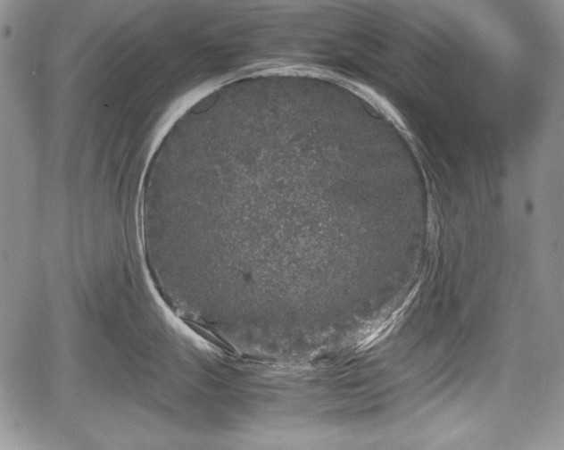 X0000067911247200604171331