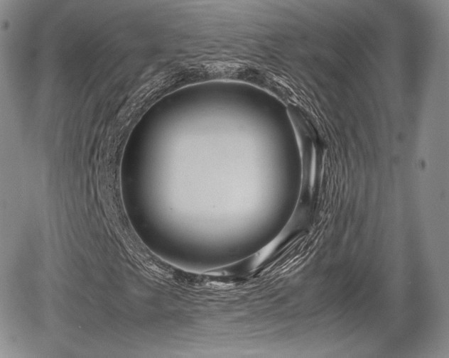 X0000067911249200604171330