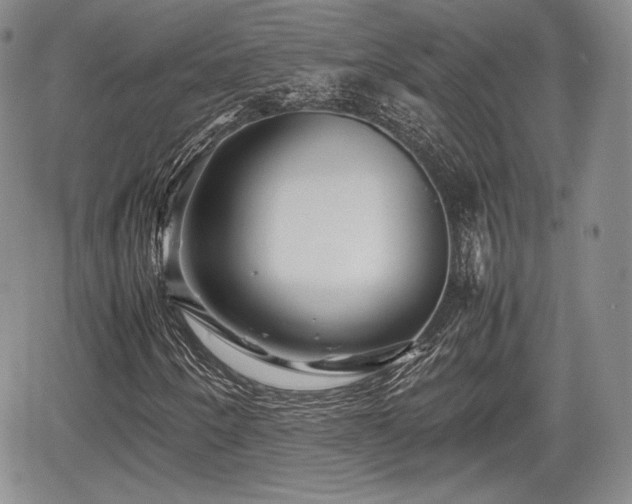 X0000067911250200604171330