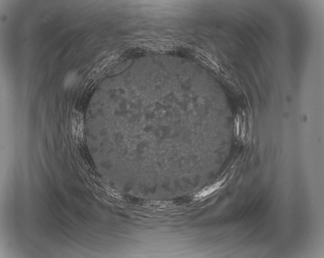 X0000067911251200604171330