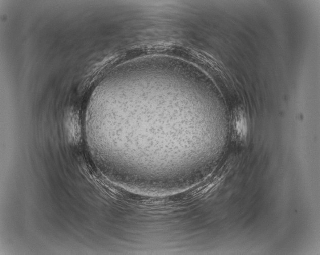 X0000067911252200604171330