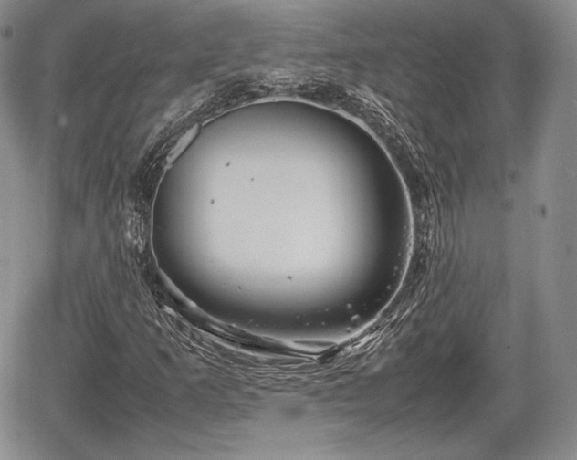 X0000067911253200604171330