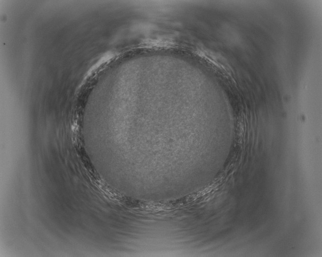 X0000067911254200604171330