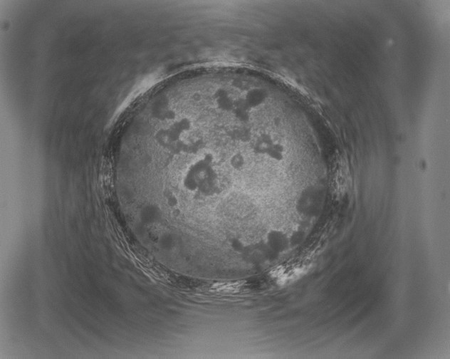 X0000067911255200604171330