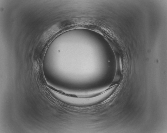 X0000067911257200604171330