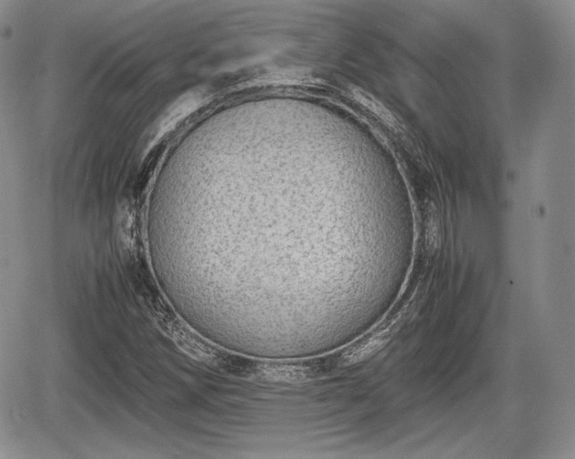 X0000067911258200604171330