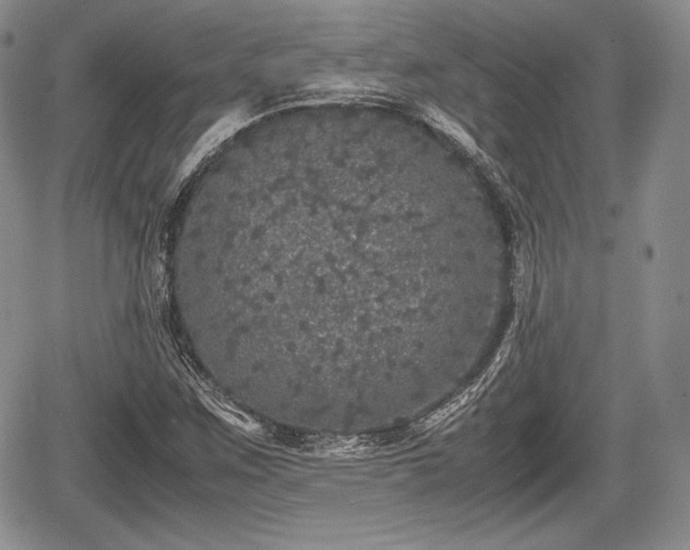 X0000067911259200604171330