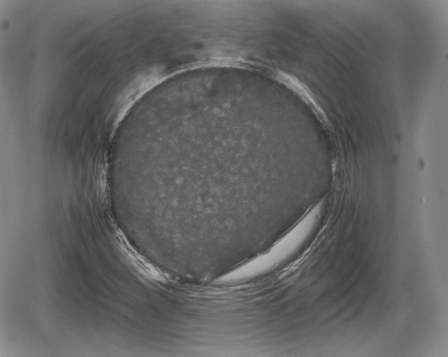 X0000067911260200604171330