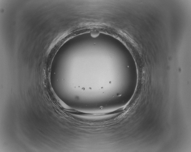 X0000067911261200604171330