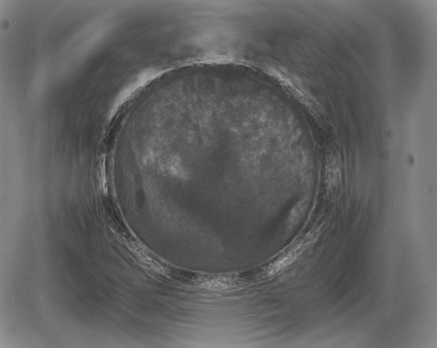 X0000067911262200604171330