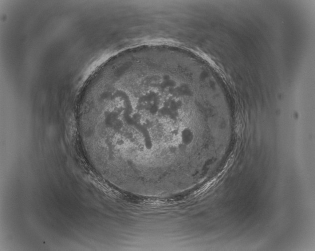 X0000067911263200604171330