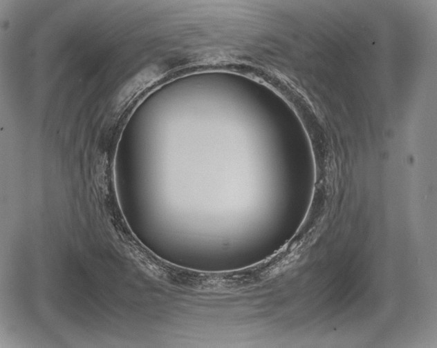 X0000067911265200604171330