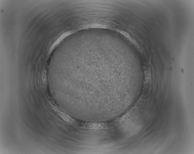 X0000067911266200604171330