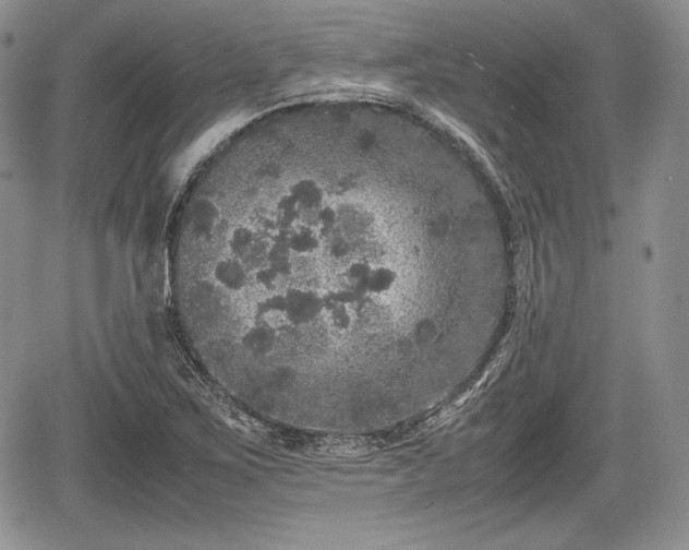 X0000067911267200604171330